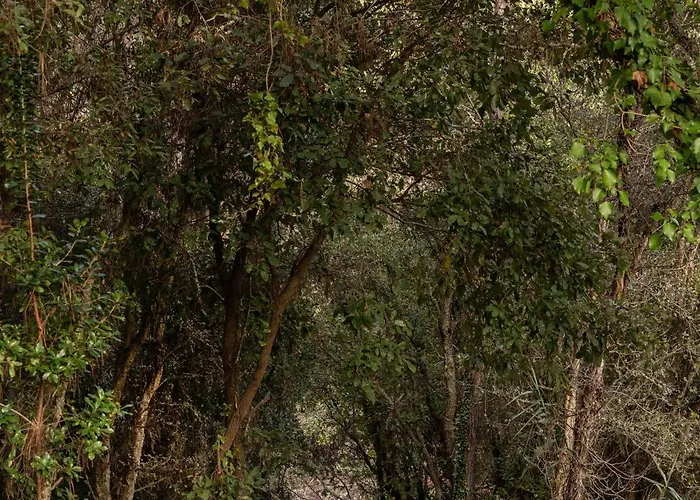 Casa Pêras Villa Óbidos